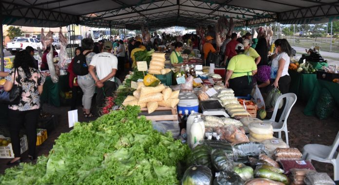Feria semanal de la Agricultura beneficiará a más de 1.500 familias del país Feria semanal de la Agricultura beneficiará a más de 1.500 familias del país