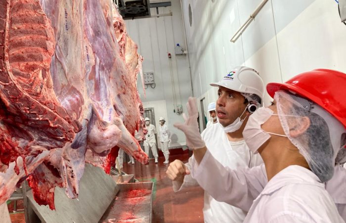 Turquía aprueba a Paraguay como país elegible para la exportación de carne bovina y ganado en pie Turquía aprueba a Paraguay como país elegible para la exportación de carne bovina y ganado en pie