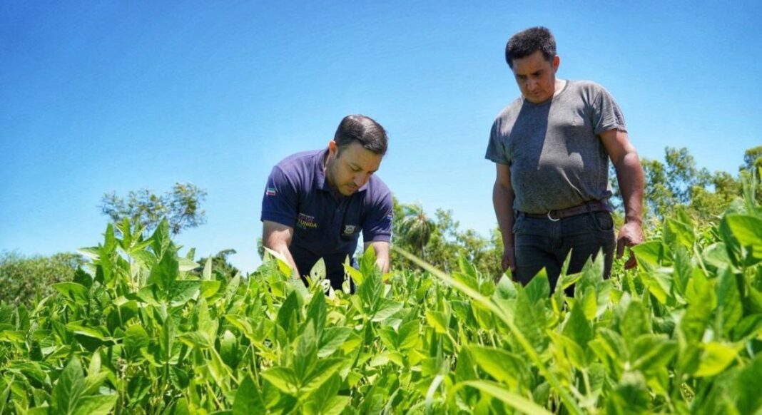 Itapúa destaca resultados del INBIO y fortalece su apuesta por la producción familiar Itapúa destaca resultados del INBIO y fortalece su apuesta por la producción familiar