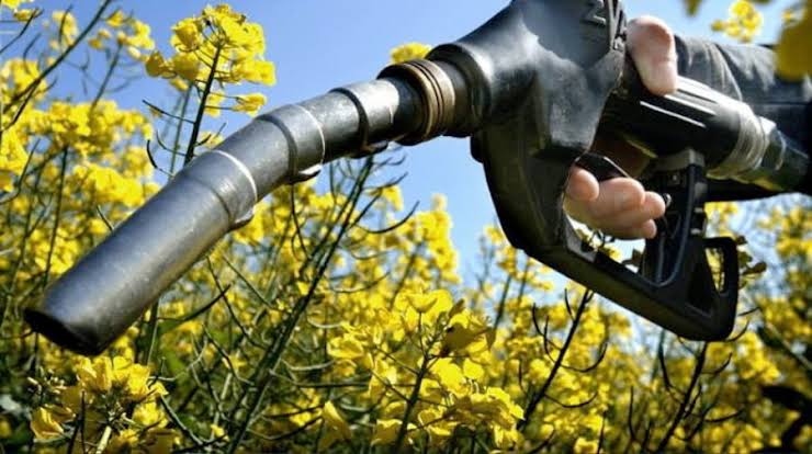 El MIC desoye el pedido de los gremios y confirma aumento del biodiésel al 8% desde 2027 El MIC desoye el pedido de los gremios y confirma aumento del biodiésel al 8% desde 2027