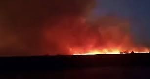 Incendios forestales en Bolivia preocupan por su proximidad con Paraguay Incendios forestales en Bolivia preocupan por su proximidad con Paraguay