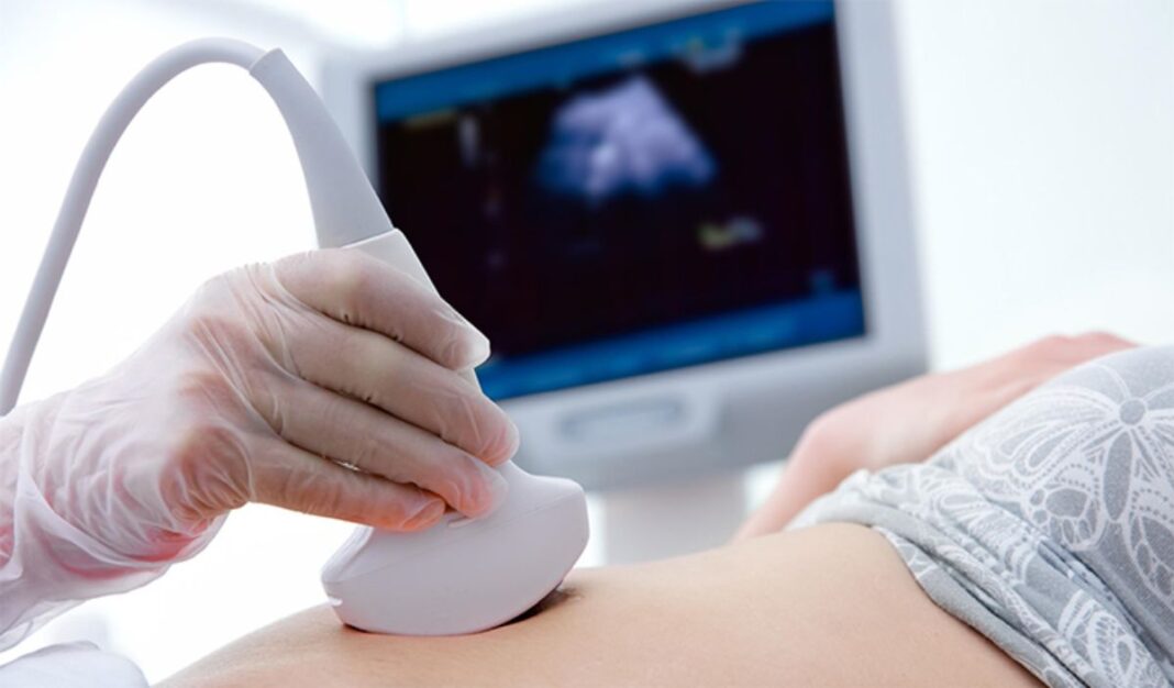 Pediatras cuestionan la nueva ley de aborto de Massachusetts y advierten sobre la protección de bebés viables Pediatras cuestionan la nueva ley de aborto de Massachusetts y advierten sobre la protección de bebés viables