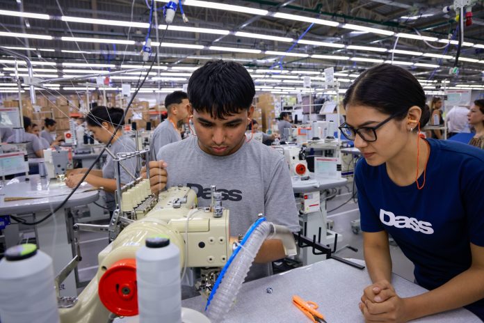 Empleo en Paraguay creció en más de 114.000 puestos y el desempleo cayó al 4,1% Empleo en Paraguay creció en más de 114.000 puestos y el desempleo cayó al 4,1%