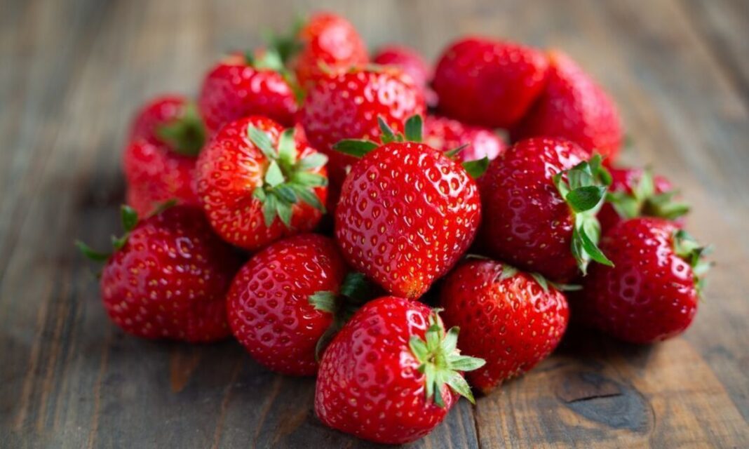 Productores de Caaguazú y Central ofrecerán frutillas y derivados en Asunción Productores de Caaguazú y Central ofrecerán frutillas y derivados en Asunción