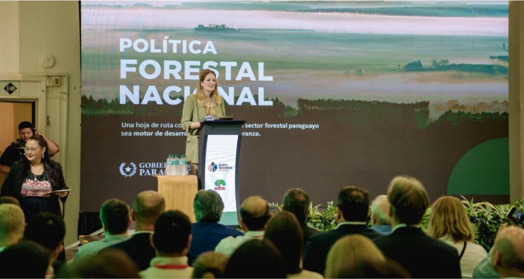 Paraguay avanza hacia una industria forestal con mayor valor agregado Paraguay avanza hacia una industria forestal con mayor valor agregado