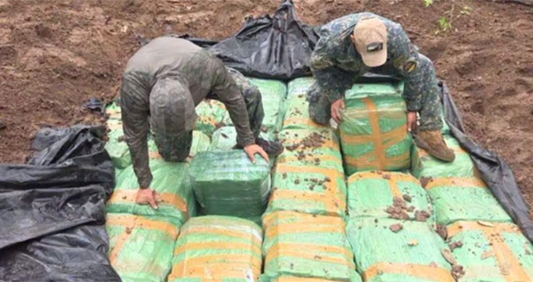 Hallan 23 escondites con marihuana dentro del Parque Nacional Paso Bravo Hallan 23 escondites con marihuana dentro del Parque Nacional Paso Bravo