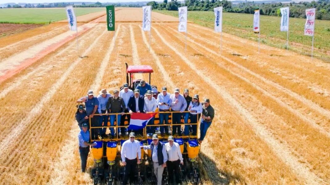 UGP y Fecoprod destacan el papel de los pequeños productores en la cadena de valor de la soja paraguaya UGP y Fecoprod destacan el papel de los pequeños productores en la cadena de valor de la soja paraguaya
