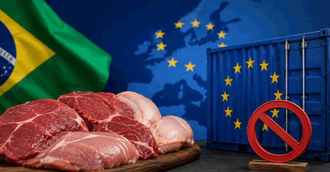 La UE bloquea la carne brasileña y abre un nuevo frente comercial con el Mercosur La UE bloquea la carne brasileña y abre un nuevo frente comercial con el Mercosur