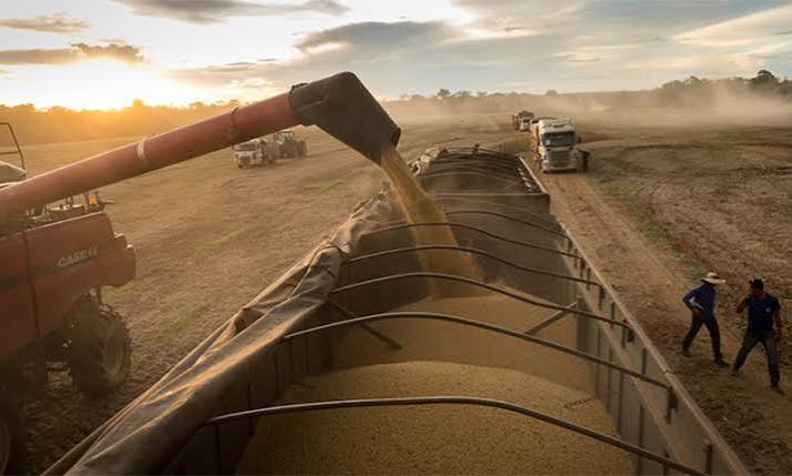 Exportaciones de soja apuntan a un nuevo récord en 2026 Exportaciones de soja apuntan a un nuevo récord en 2026