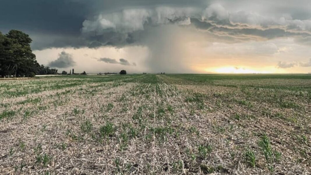 Temporal provoca daños en cultivos de Central y activa relevamiento del MAG Temporal provoca daños en cultivos de Central y activa relevamiento del MAG